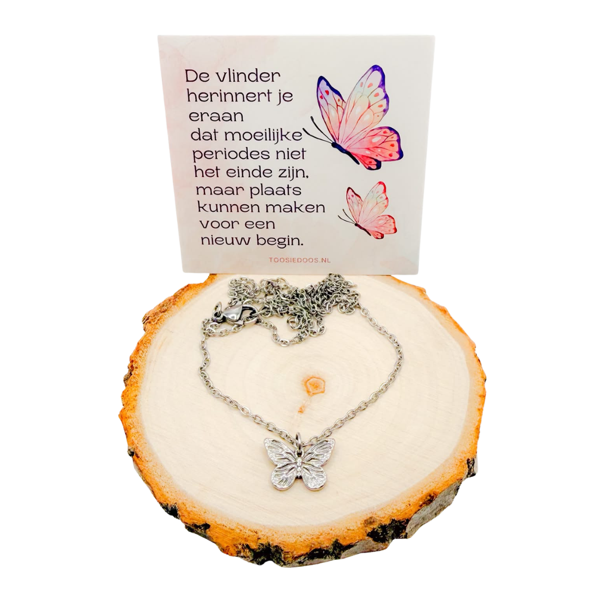 Troost vlinder ketting - zilver