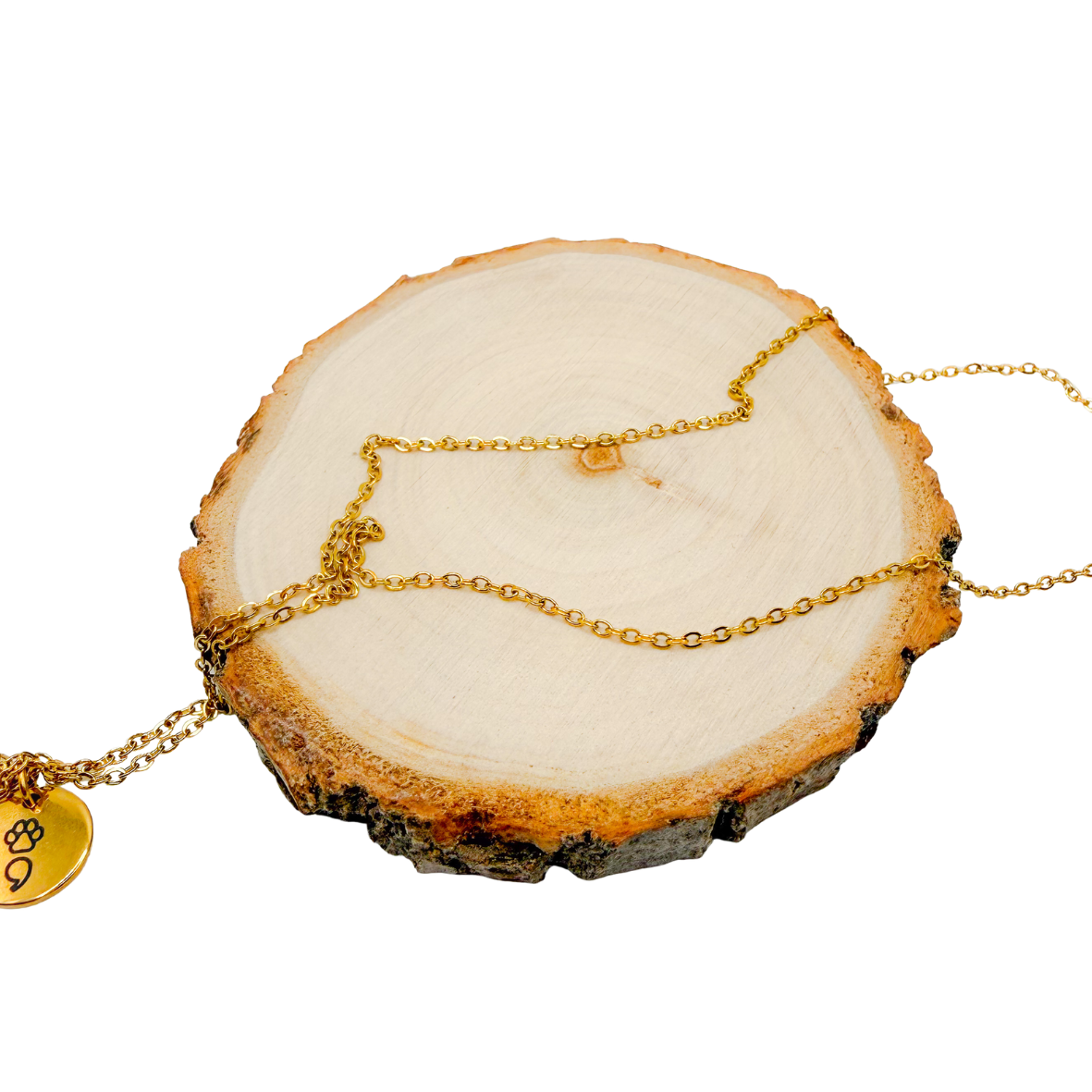 Semicolon dierenpoot ketting (goud)