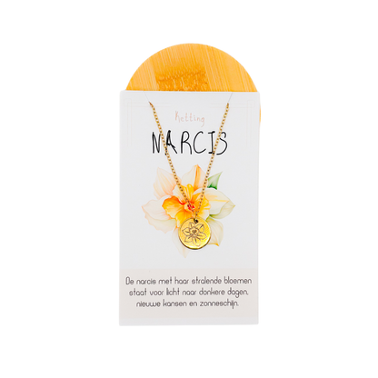 Narcis (licht na donkere dagen) goud