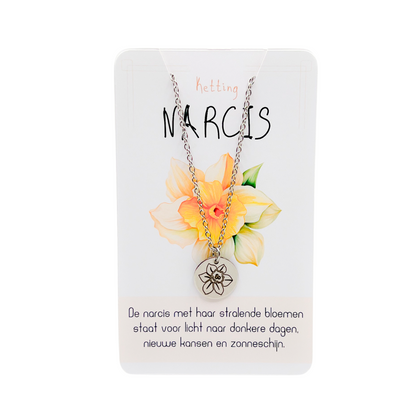 Narcis (licht naar donkere dagen)