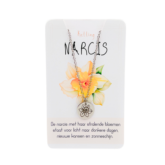 Narcis (licht naar donkere dagen)