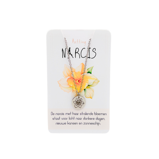 Narcis (licht naar donkere dagen)